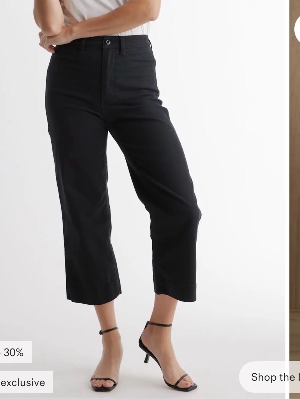 Quince Rust Brown High-Waist Button Front Pants